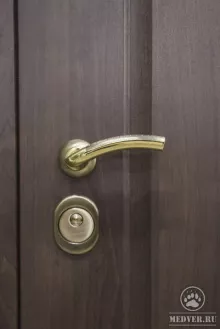 Металлическая дверь 115